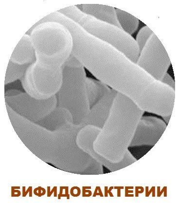 Закваски прямого внесения