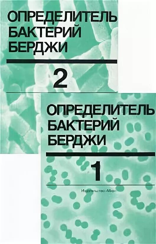 Скачать бесплатно Воробьев А.В., Быков А.С., Пашков Е.П. - Микробиология. pdf