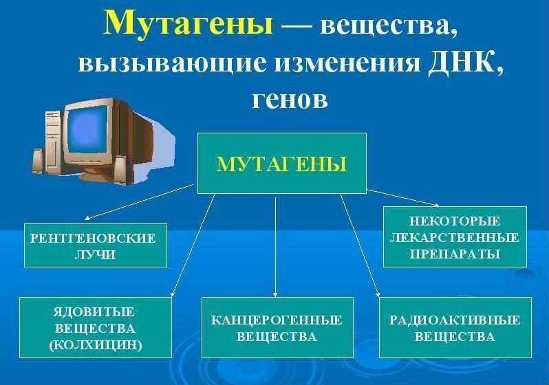 Стресс от бабушки, супермышцы и запасные органы.